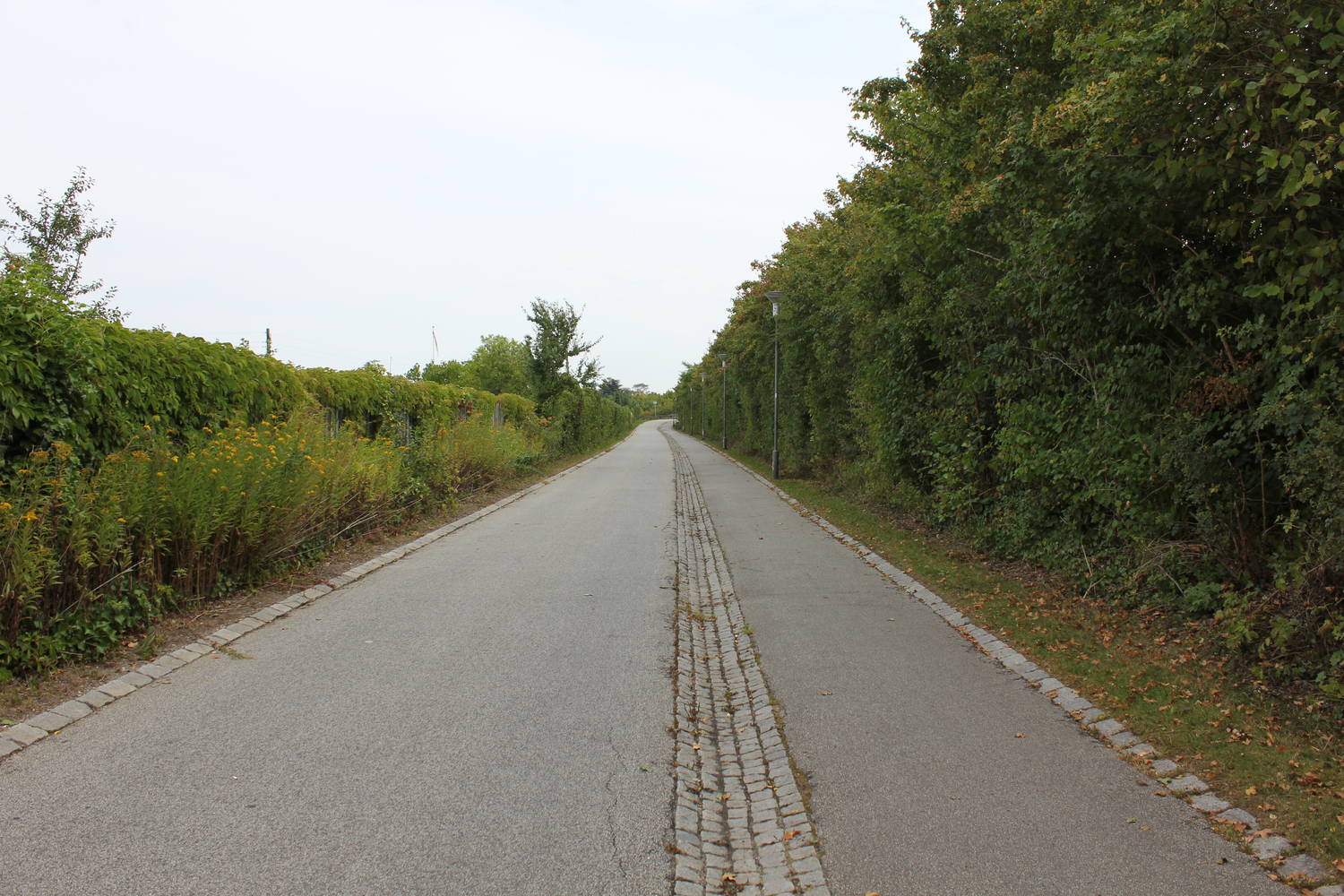 Rad- und Fußweg längs der Øresundsmotorvejen: Mehr Platz für Radler