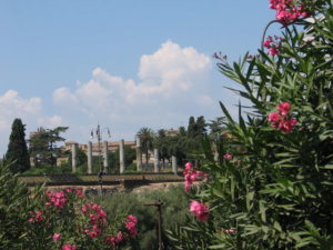 Temple of Venus and Rome, seen from small park area between Piazza del Colosseo and Via Celio Vibenna, Rom, 2009